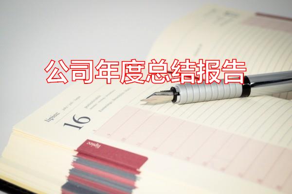 公司年度总结报告专题范文