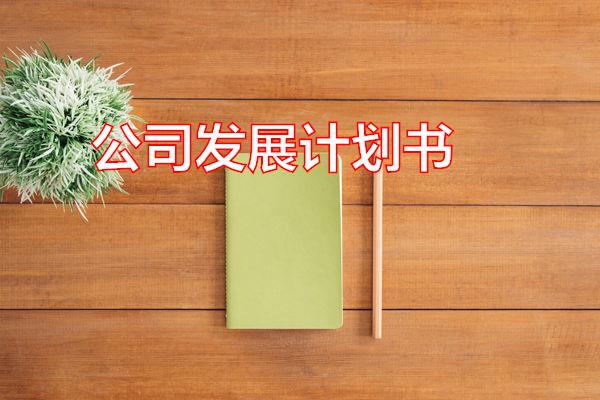 公司发展计划书专题范文
