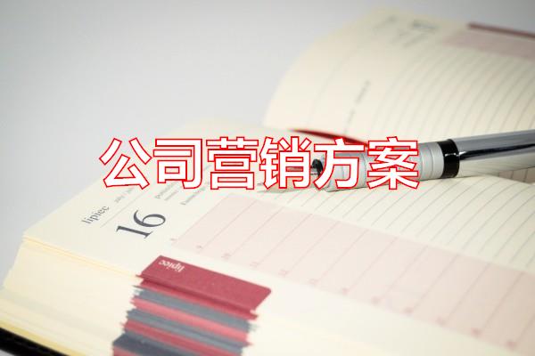 公司营销方案专题范文