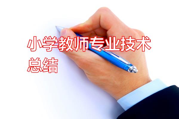 小学教师专业技术总结专题范文