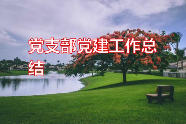 党支部党建工作总结专题范文