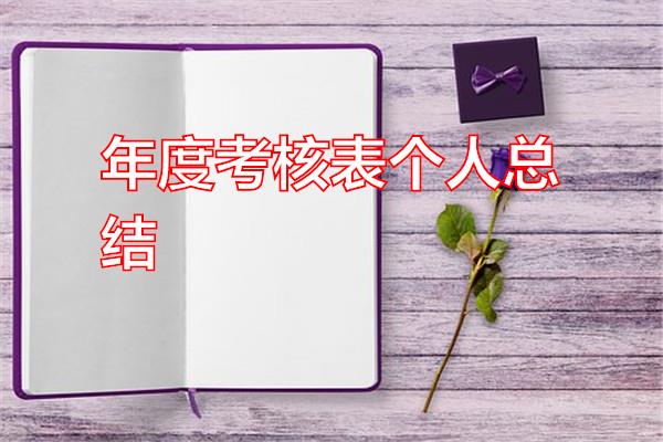 年度考核表个人总结专题范文