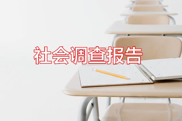 社会调查报告专题范文