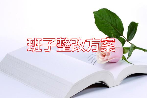 班子整改方案专题范文