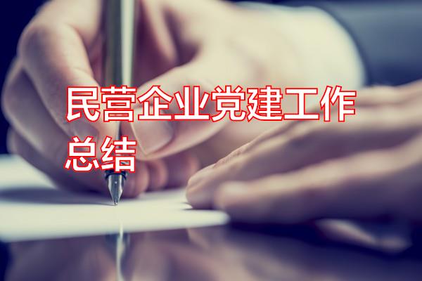 民营企业党建工作总结专题范文