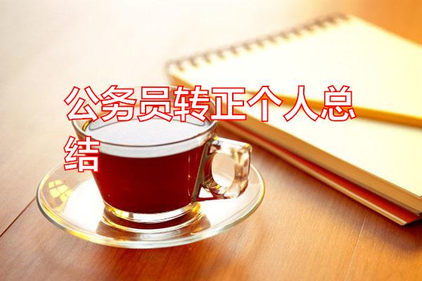 公务员转正个人总结专题范文