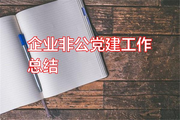 企业非公党建工作总结专题范文