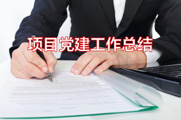 项目党建工作总结专题范文
