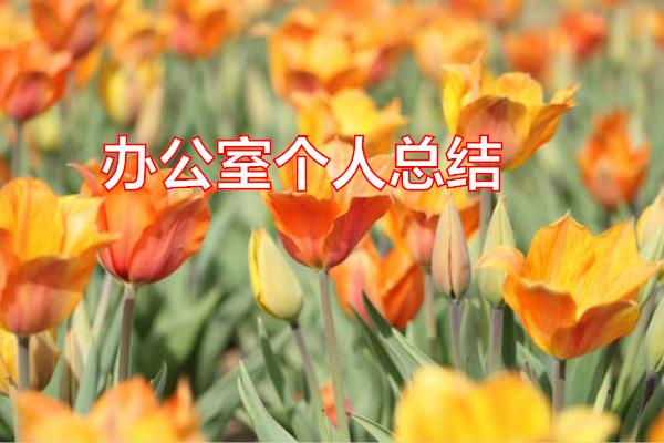 办公室个人总结专题范文