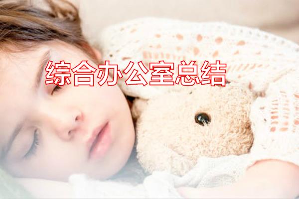 综合办公室总结专题范文