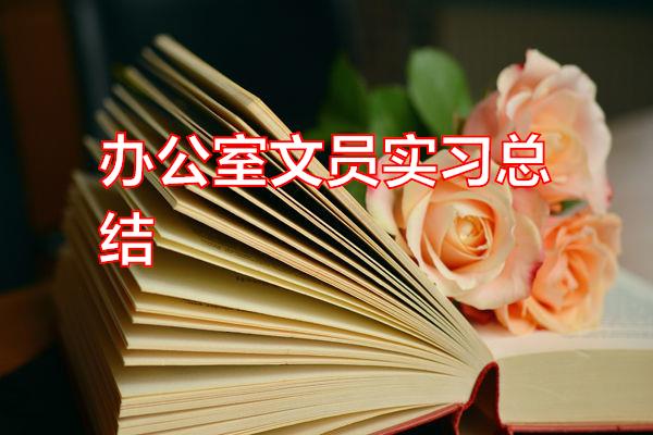 办公室文员实习总结专题范文