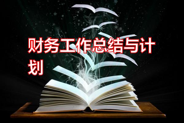 财务工作总结与计划专题范文