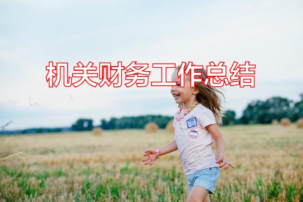 机关财务工作总结专题范文