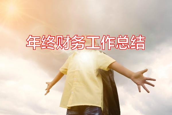 年终财务工作总结专题范文
