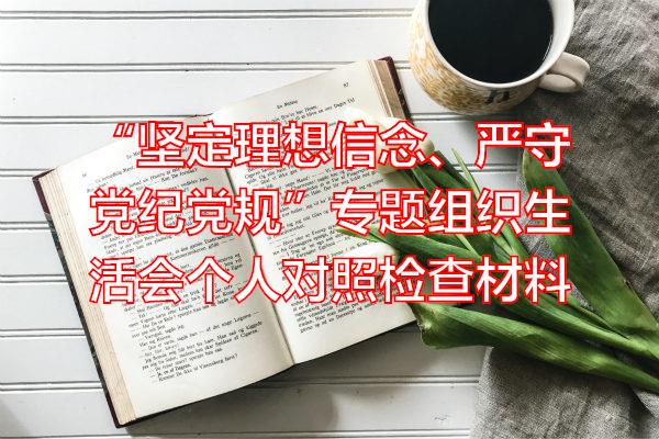 “坚定理想信念、严守党纪党规”专题组织生活会个人对照检查材料专题范文