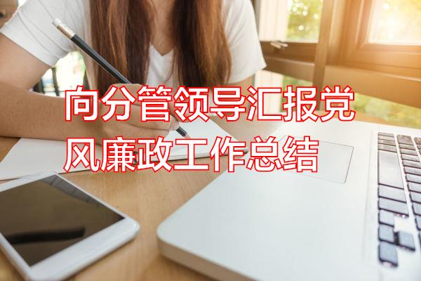 向分管领导汇报党风廉政工作总结专题范文