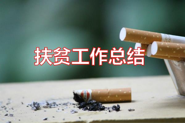 扶贫工作总结专题范文
