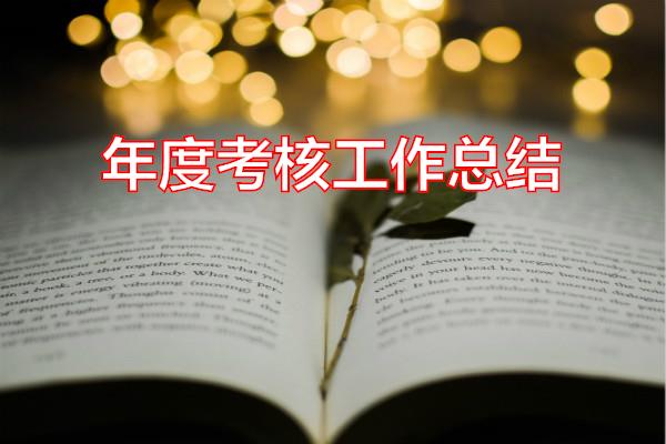 年度考核工作总结专题范文