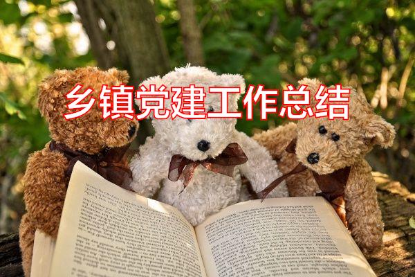 乡镇党建工作总结专题范文
