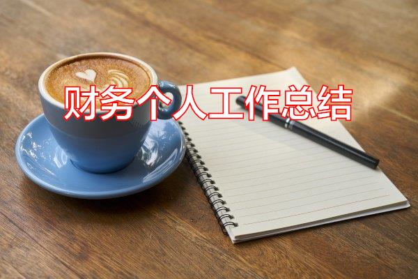 财务个人工作总结专题范文