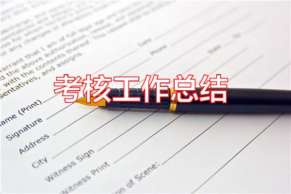 考核工作总结专题范文