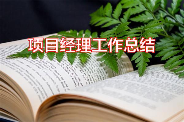 项目经理工作总结专题范文