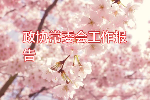 政协常委会工作报告专题范文