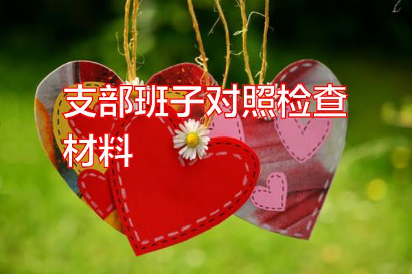 支部班子对照检查材料专题范文
