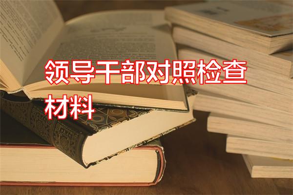 领导干部对照检查材料专题范文