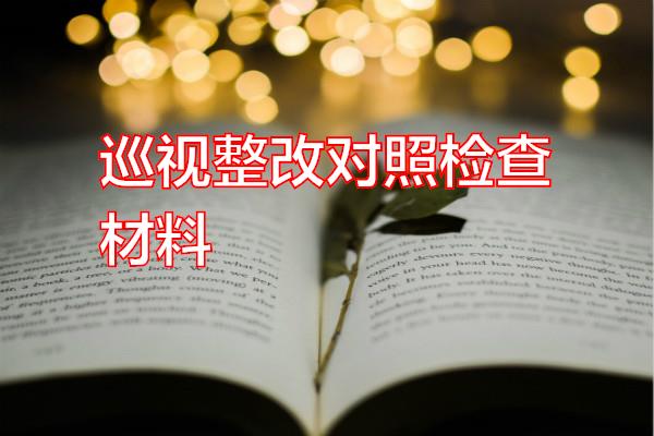 巡视整改对照检查材料专题范文